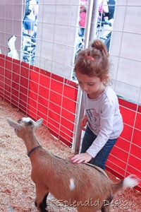 Madison at the fair
