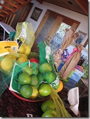 IMG_0906 IMG_0906