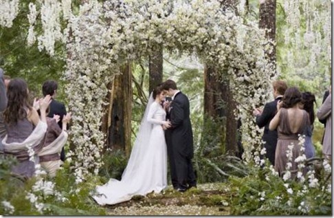 Twilight-wedding3