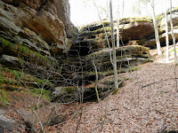 DSCN1727.JPG