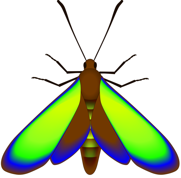 [lepidopteros-fosil%255B2%255D.png]