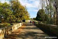 IMG_5024.JPG