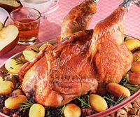 pollo rip pollo rip