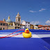 DSC01133.JPG