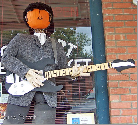 Elvis Elvis