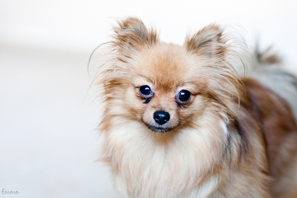 [20111230-IMG_9954%255B9%255D.jpg]