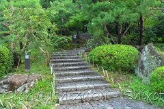 57 - Glória Ishizaka - Shirotori Garden
