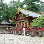 toshogu shrine in Nikko, Japan by Matt van Vuuren in Nikko, Totigi (Tochigi) , Japan