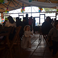 DSC_1771.JPG
