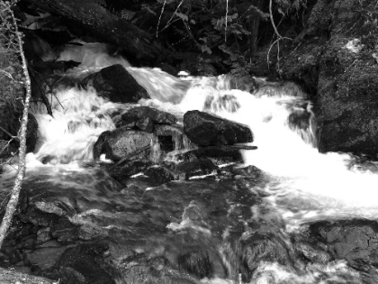 DSCN9175.jpg DSCN9175