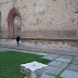 R0028012.JPG