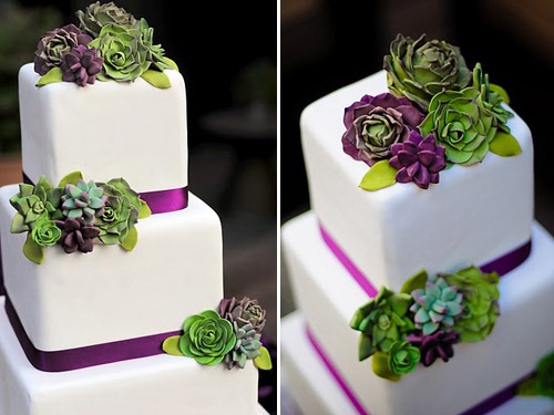 [succulent-wedding-cake-erica-obrien-1%2520june%2520bug%2520weddings%255B3%255D.jpg]