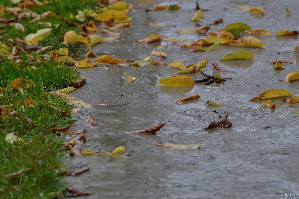 [DSC_28693.jpg]
