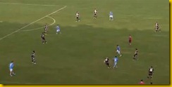 Insigne2