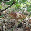 gdzie się tu chowamy? ;) dsc00851.jpg