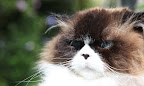 How long have I been out here?  What time is it?  What day is it?