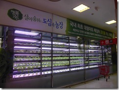 SDC12301 SDC12301