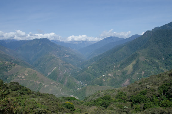 Des Yungas au Beni - Les Yungas près de Coroico (Bolivie), 18 octobre 2012. Photo : C. Basset