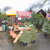 117.JPG