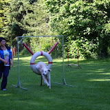 IMG_5061.JPG