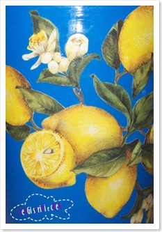 vasoblu2