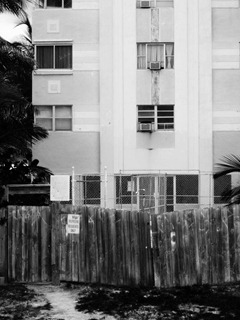 Shadows-of-Miami