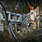 "What's Left" - copyright Sera Hayes