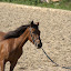 DSC00884.jpg