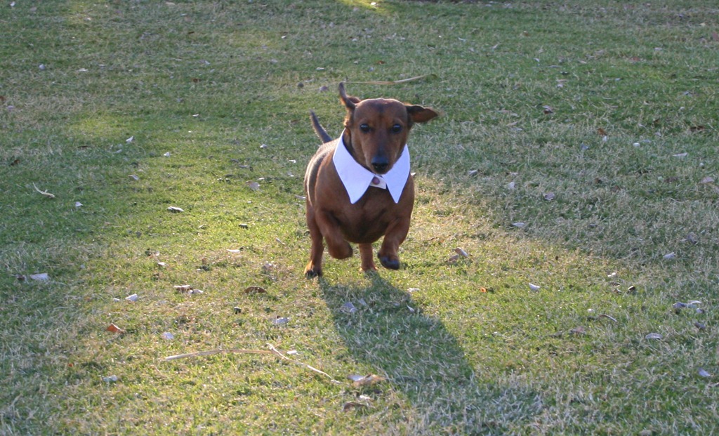 [dta%2520021-1%255B3%255D.jpg]