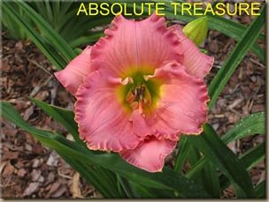 ABSOLUTE_TREASURE_f ABSOLUTE_TREASURE_f
