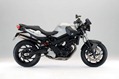 BMW-Vilner-F800-R-Predator-15