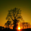 IMG_0773.JPG