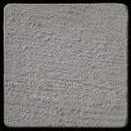Dune Broomed.jpg