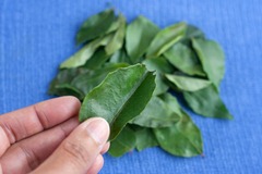 Curry leaves 2 Curry leaves 2