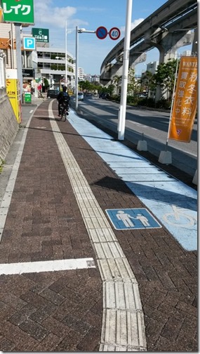 Although, while concentrating on taking this photo, I almost collided with that bicycle rider you see. Okinawa 019 near Oroku station