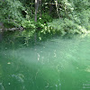 dsc03999.jpg