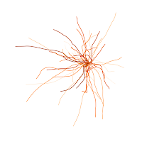burst_02_24_2013_1639-9.png