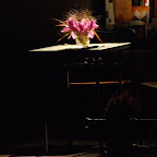 20080913-DSCF8794.JPG