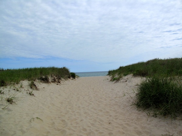 IMG_0811 IMG_0811