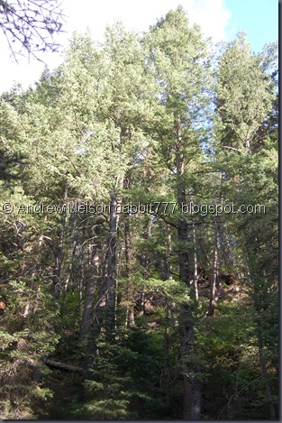 DSC_0066 DSC_0066