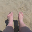 SAM_0319.JPG