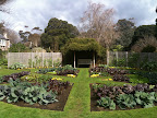 Aug 8 - Vegetable Garden, Heronswood
