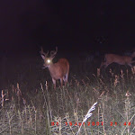 ICAM0118.JPG