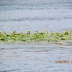 IMG_7791.JPG