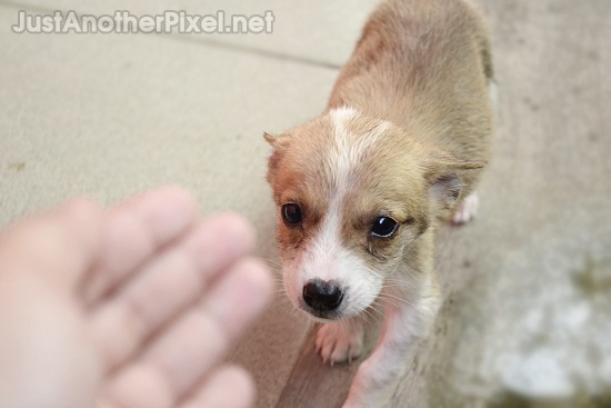 Awwww... so cute Awwww... so cute