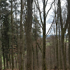 singold-bote_waldlehrpfad-schwabegg_036.jpg