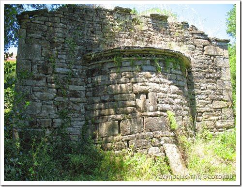 IMG_1704 IMG_1704