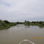 IMG_5220.JPG