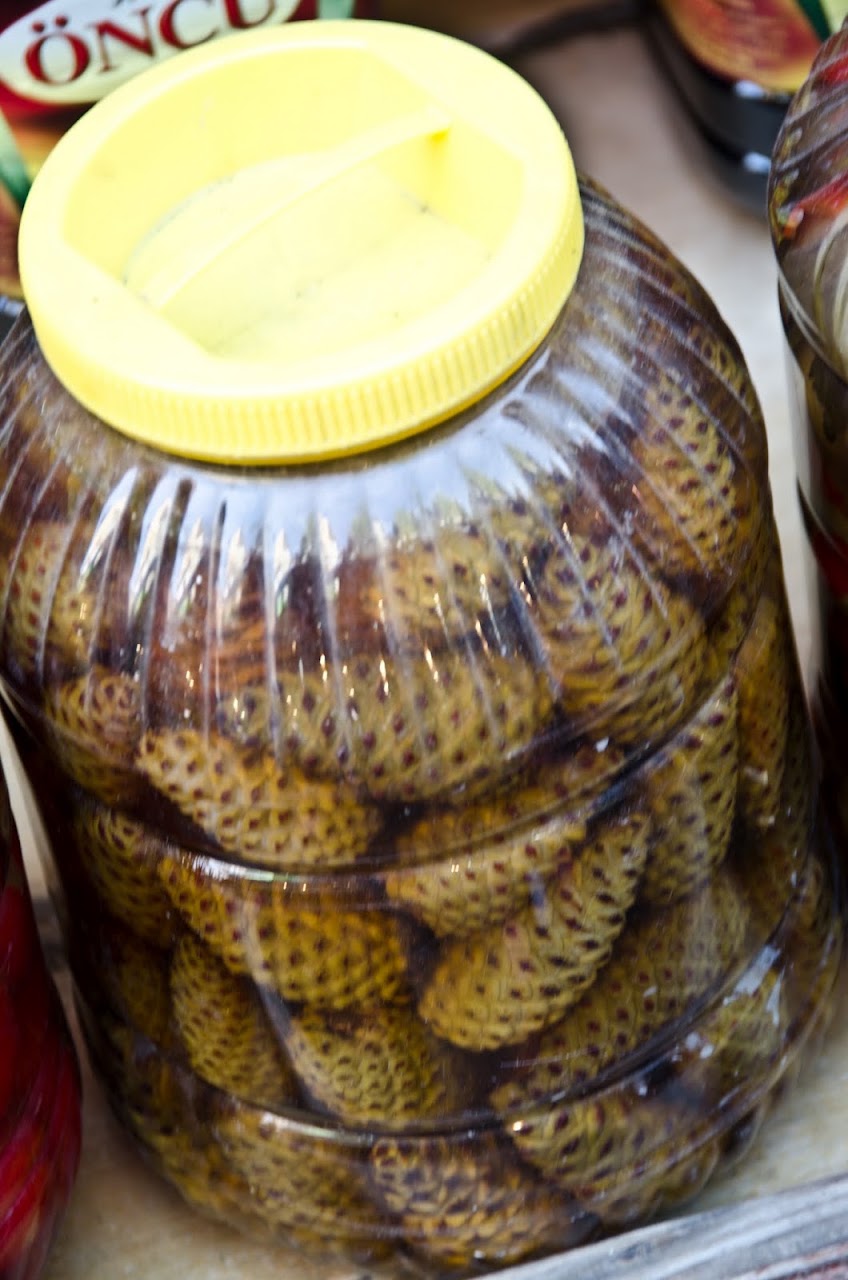 Pickled pine cones