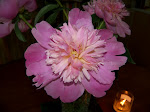 100_4896.JPG